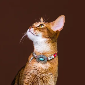 Crystaluck Cute Kitten Healing Crystal Ethnic Style Pet Collar for meditation, energy healing and home decor